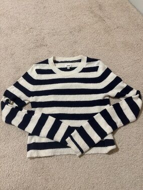 aerie Navy and White Striped Sweater